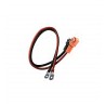 CABLE BATTERIE PYLONTECH 2*2M